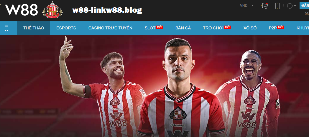 Đối tác chính thức W88 2025