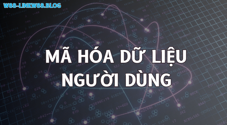 Mã hóa dữ liệu trong quyền riêng tư w88 Mã hóa dữ liệu trong quyền riêng tư w88